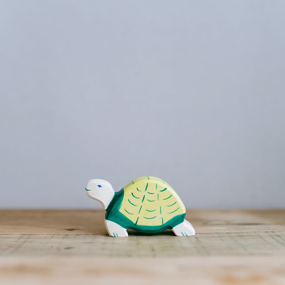 holztiger-tortoise-01-cover holztiger-tortoise-01-cover