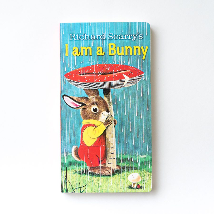 I Am A Bunny / 我是小兔子 繪本